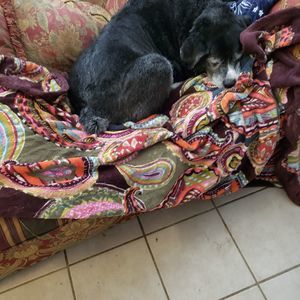 Meet your Posher, Leslie